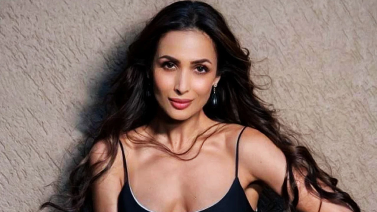 আমার পোশাক-সম্পর্ক নিয়ে বিচার করা হয়: মালাইকা