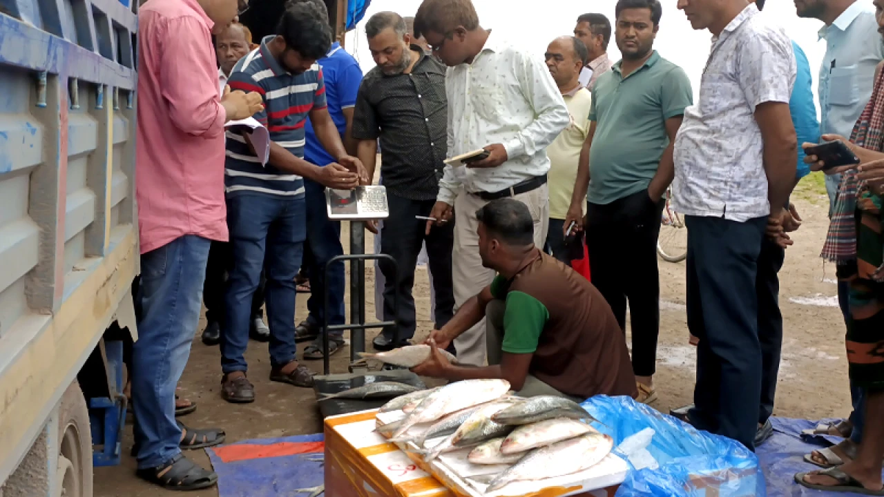 ভারতে গেল ১২০০ কেজি ইলিশ