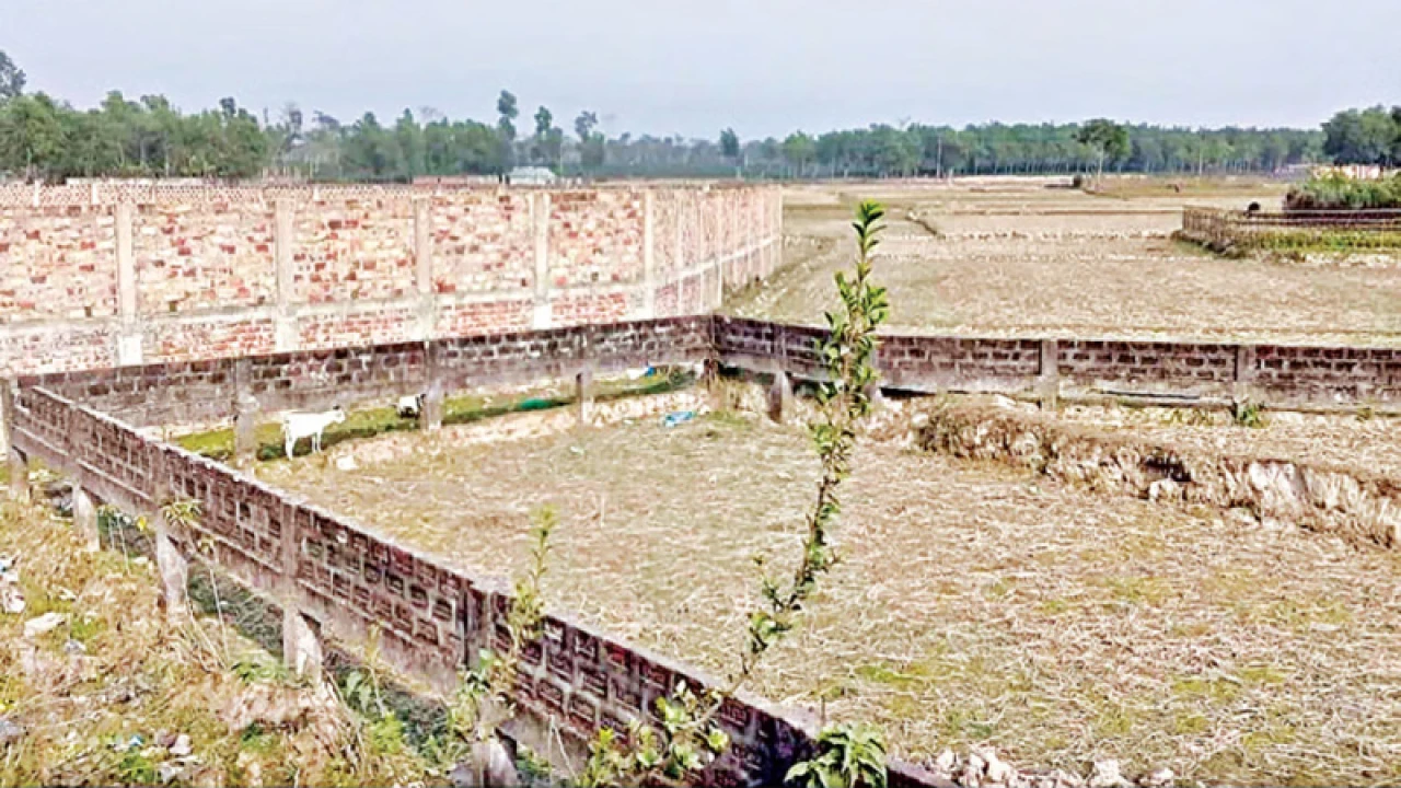 কমছে দেশের কৃষিজমি, হুমকিতে খাদ্যনিরাপত্তা