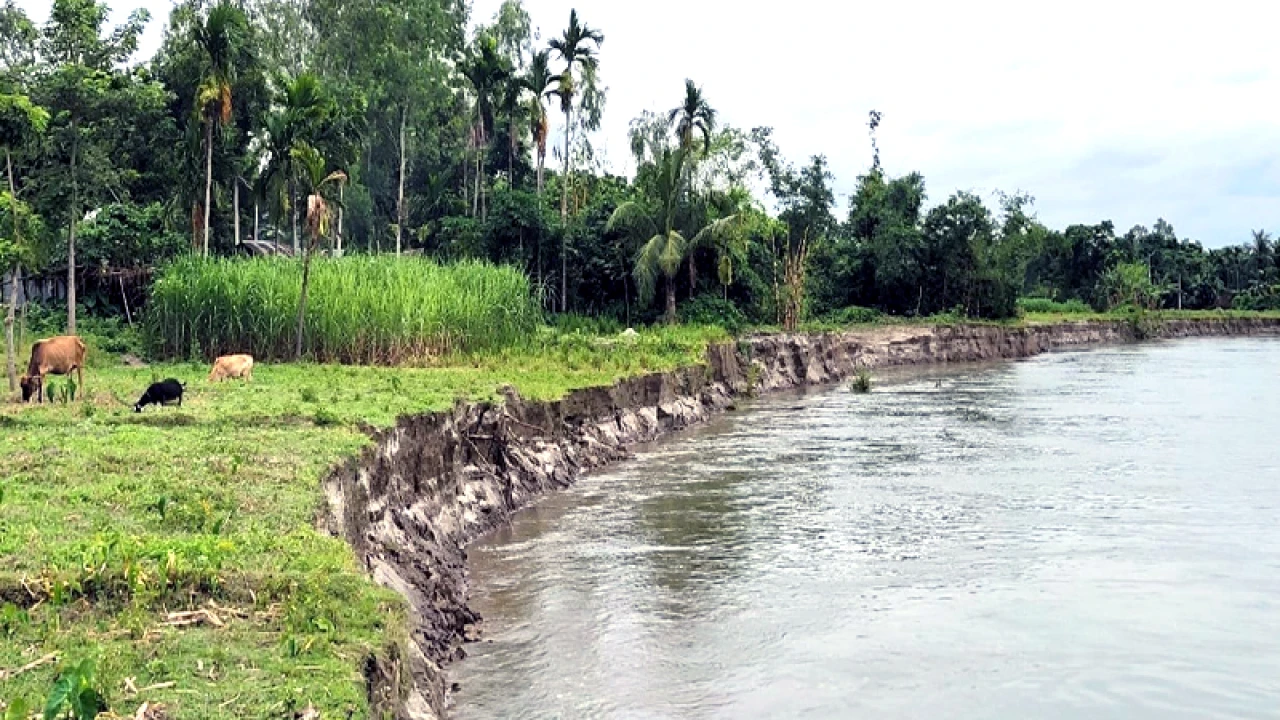 নানাবাড়ি বেড়াতে গিয়ে নদীতে ডুবে মাদ্রাসাছাত্রের মৃত্যু