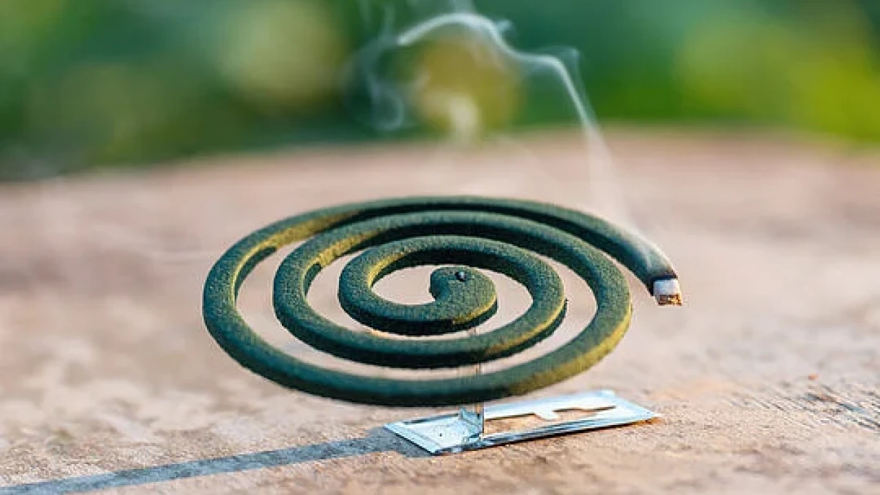 ক্ষতিকর মশার কয়েলে স্বাস্থ্যঝুঁকি 