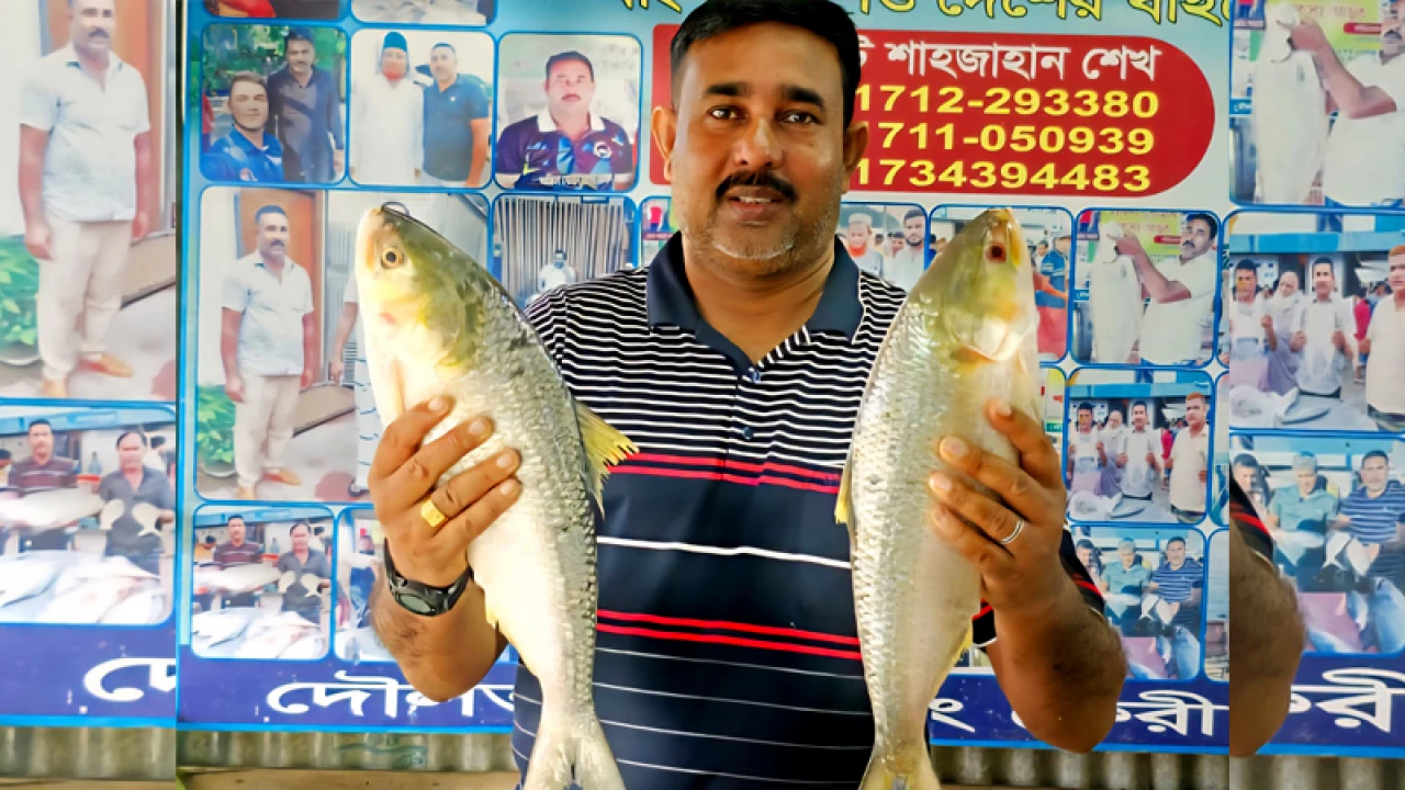 পদ্মার দুই ইলিশ সাড়ে ১৭ হাজারে বি‌ক্রি