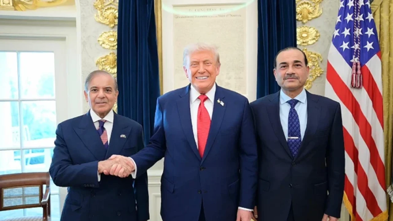 শাহবাজ শরীফ চমৎকার মানুষ: ডোনাল্ড ট্রাম্প