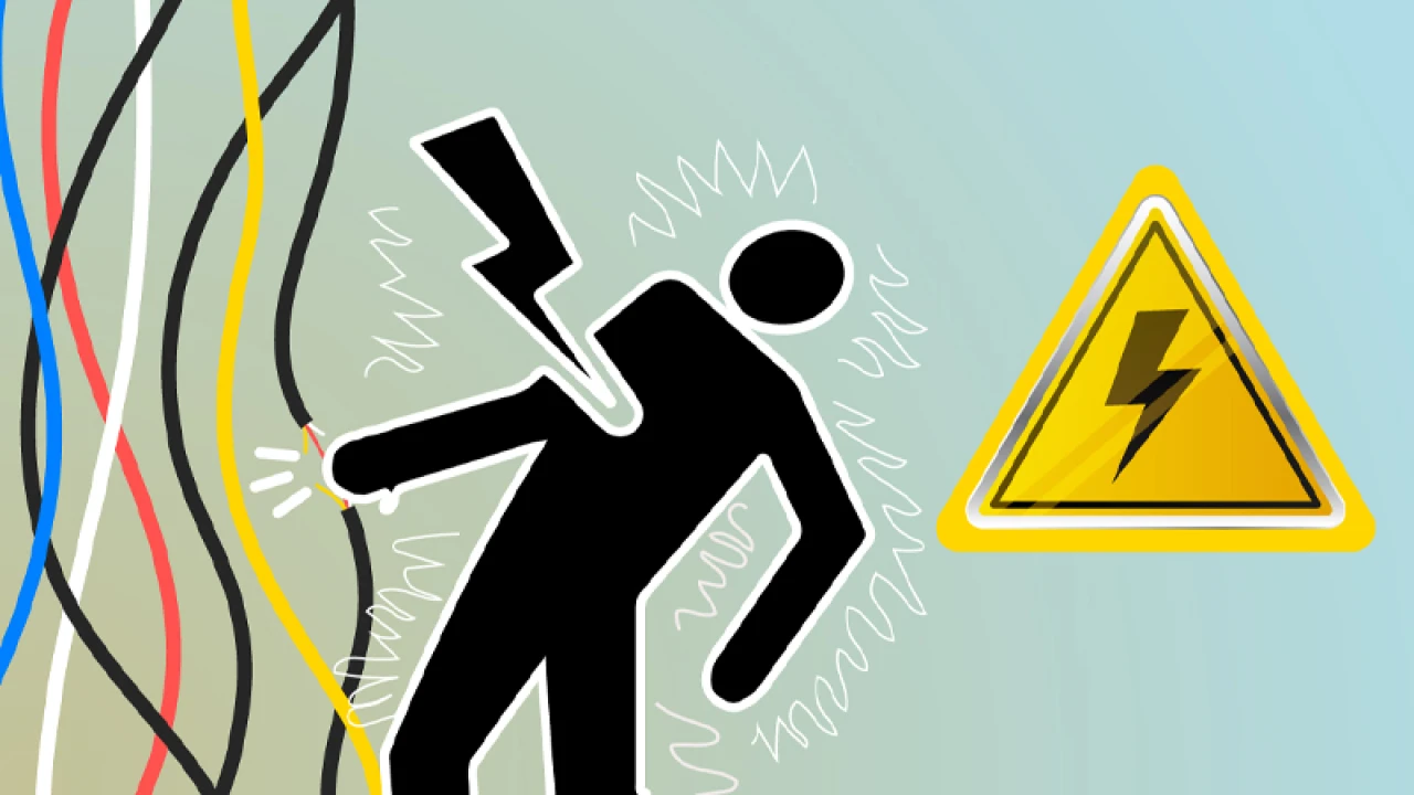 ভাইকে বাঁচাতে দুই ভাইয়ের মৃত্যু, আহত চাচা-ভাতিজা