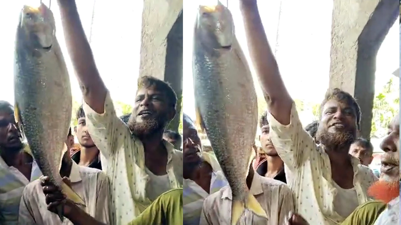 সাড়ে তিন কেজির ইলিশ ১০ হাজারে বিক্রি