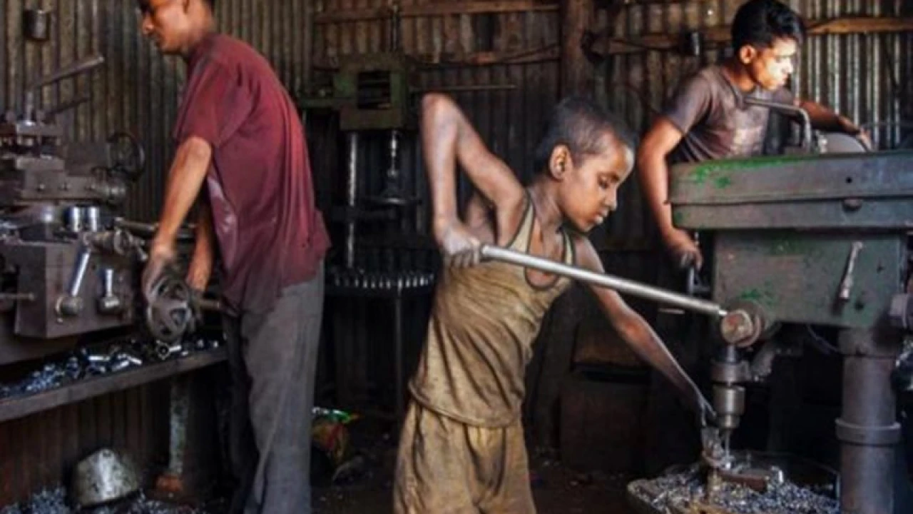 কবে মিলবে নিরাপত্তা