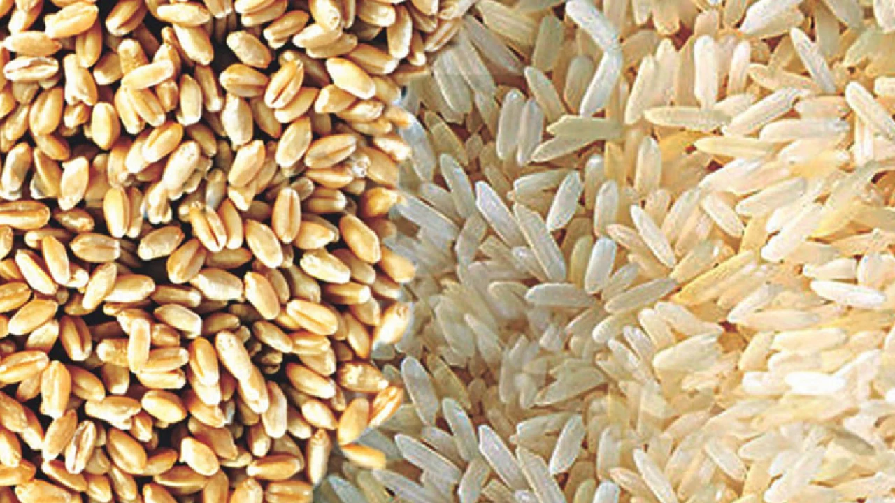 যুক্তরাষ্ট্র থেকে কেনা হবে গম. ভারত থেকে চাল 