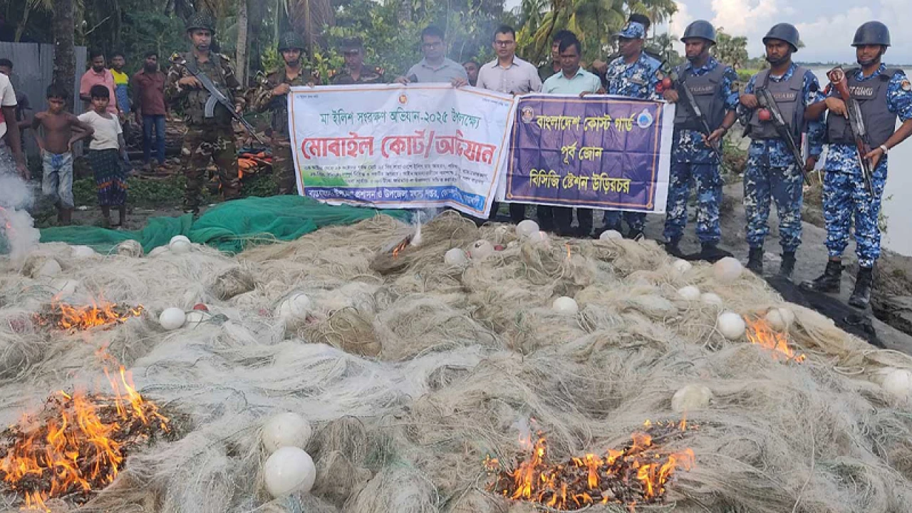কোম্পানীগঞ্জে ৫০ হাজার মিটার অবৈধ কারেন্ট জাল জব্দ