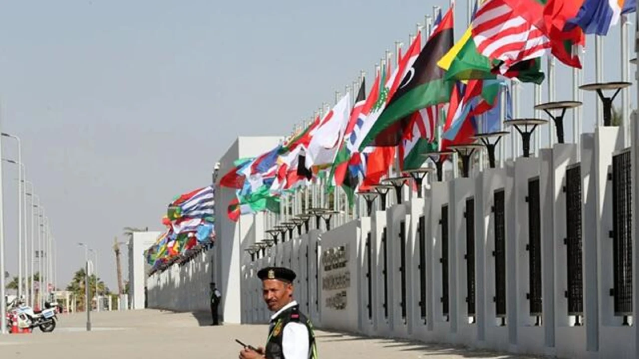 যুদ্ধবিরতি বাস্তবায়নে বৈঠকে বসছেন বিশ্বনেতারা, আয়োজক মিশর