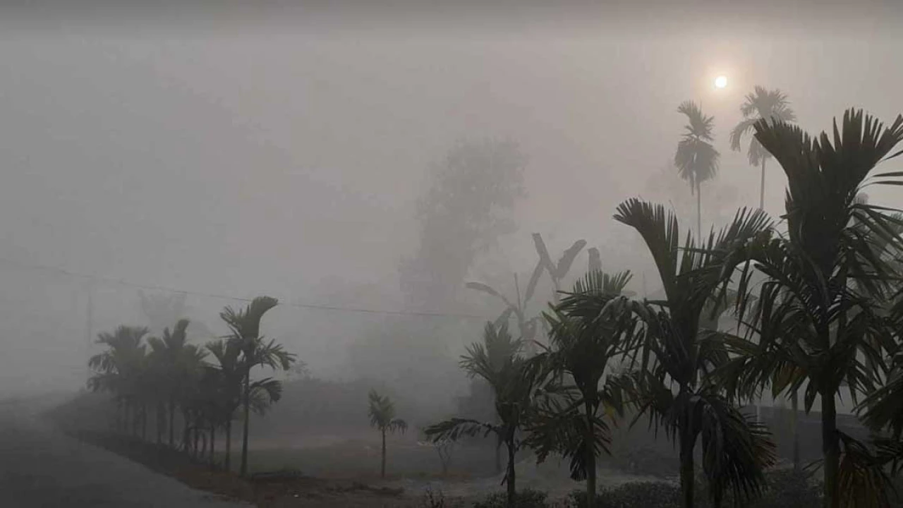 শৈত্যপ্রবাহ নিয়ে যে বার্তা দিল আবহাওয়া দপ্তর