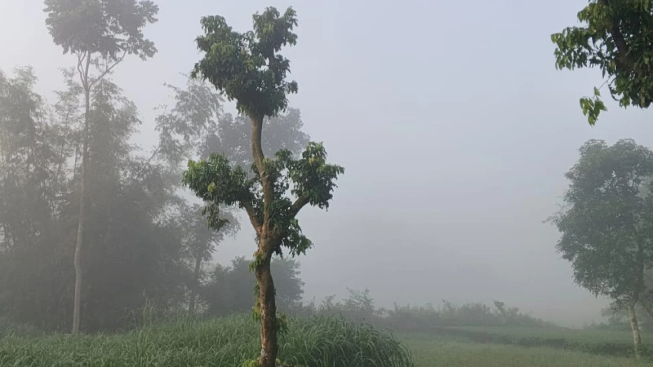 শীত পড়তে শুরু করেছে উত্তরের তেঁতুলিয়ায়