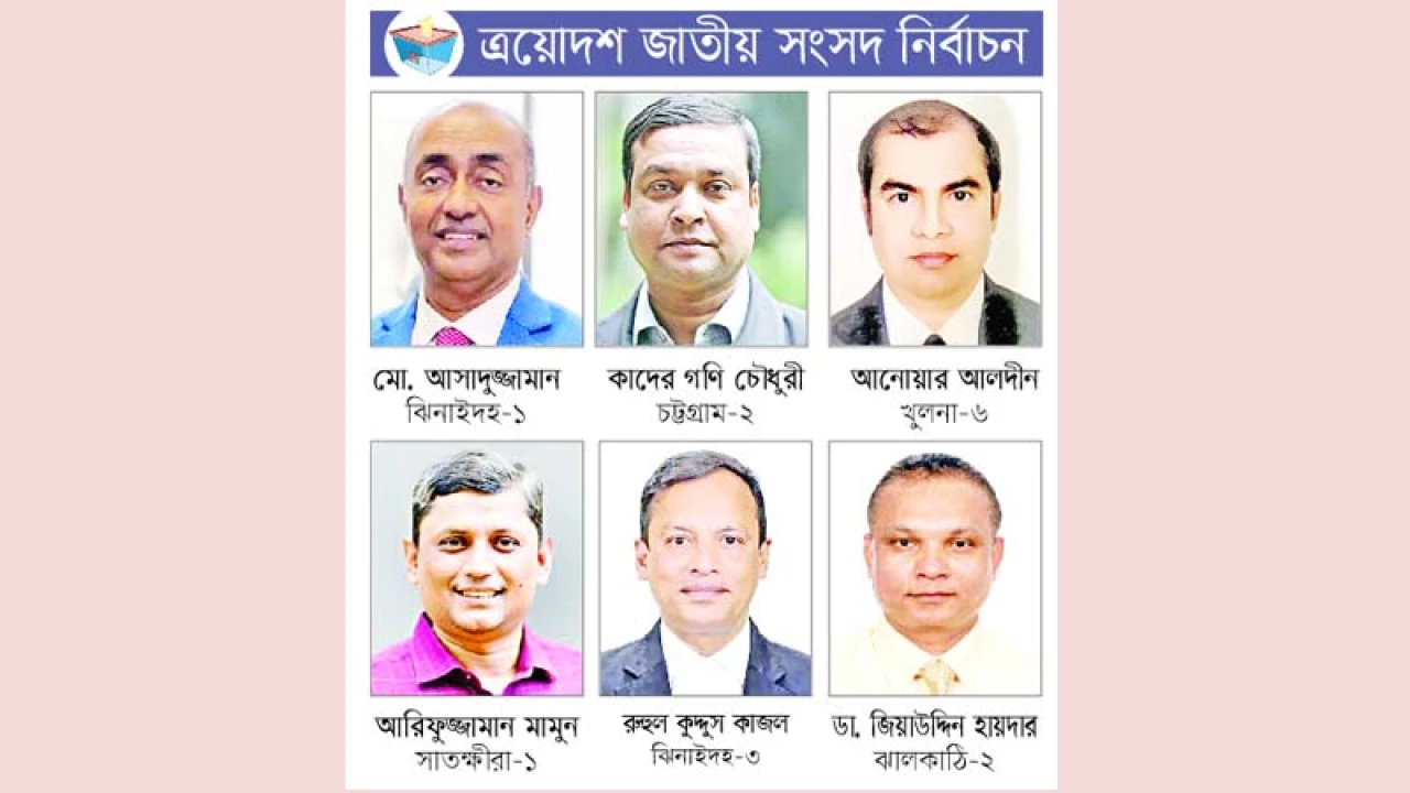 বিএনপির মনোনয়ন দৌড়ে পেশাজীবীরা