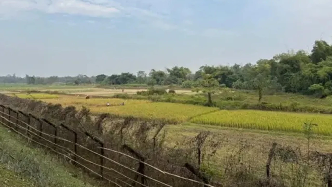 ভারতের ত্রিপুরা রাজ্যে ৩ বাংলাদেশিকে হত্যা