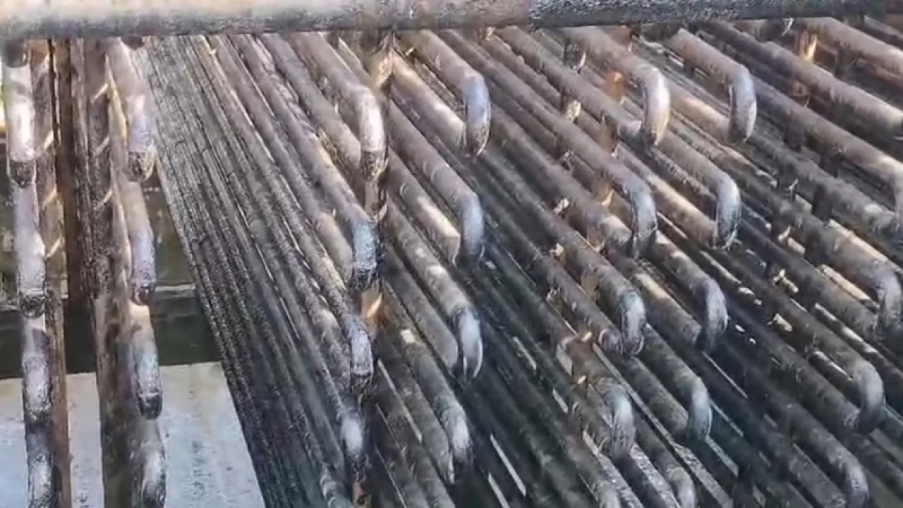 বরফ কলের অ্যামোনিয়া গ্যাস পাইপ লিকেজ, আহত ২০