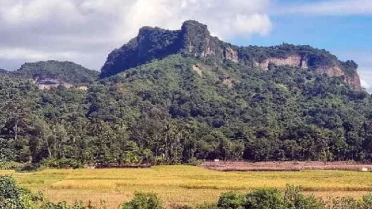 টেকনাফে পাহাড়ে জিম্মি করে রাখা ৪৪ জনকে উদ্ধার