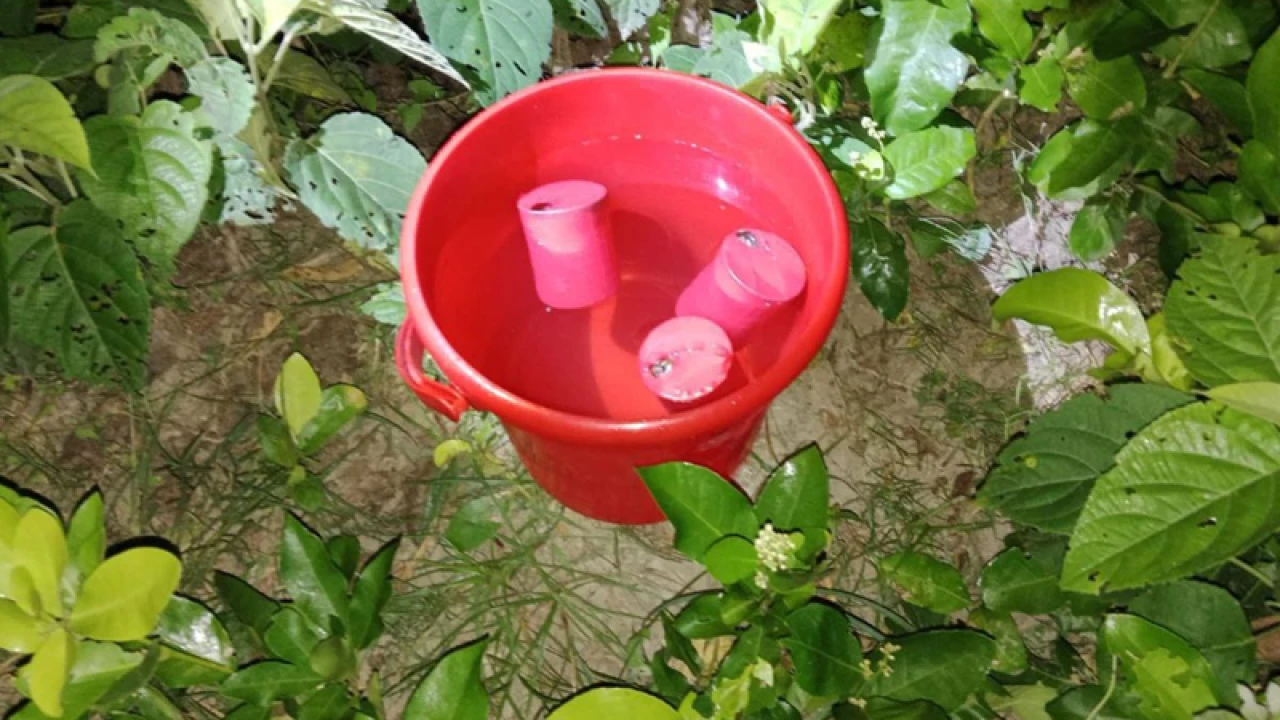 শার্শায় ঝোপ থেকে ৩টি ককটেল উদ্ধার