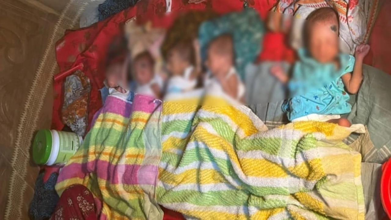 একসঙ্গে জন্ম নেওয়া ৫ সন্তান নিয়ে দিশেহারা মা-বাবা