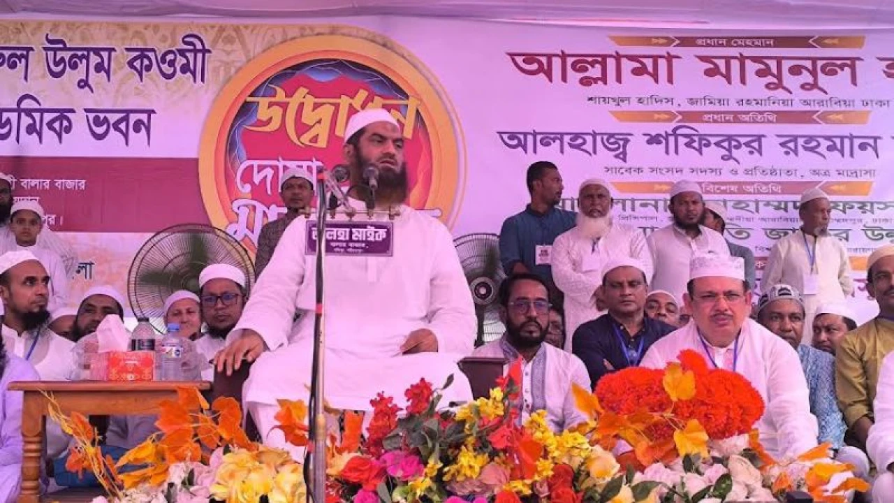 ৫৫ বছরেও জাতির শিক্ষাব্যবস্থা কাঙ্ক্ষিত লক্ষ্যে পৌঁছাতে পারেনি: মামুনুল হক