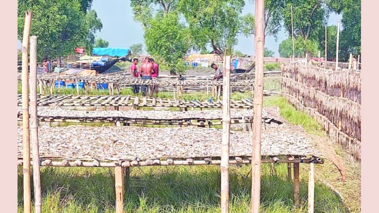 ঘূর্ণিঝড় মন্থা বঙ্গোপসাগরে বন্দরে সতর্কতা