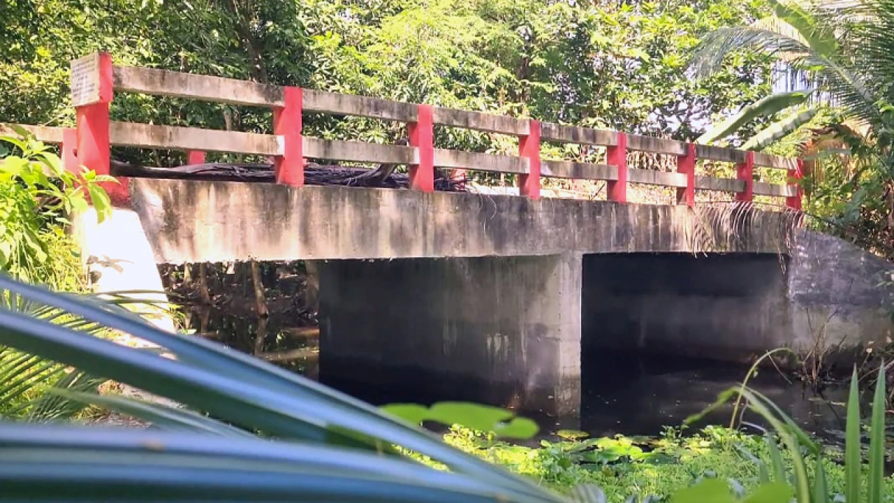 সাবেক সচিবের গাড়িচালকের পুকুরে যেতে ৩১ লাখ টাকার সেতু!