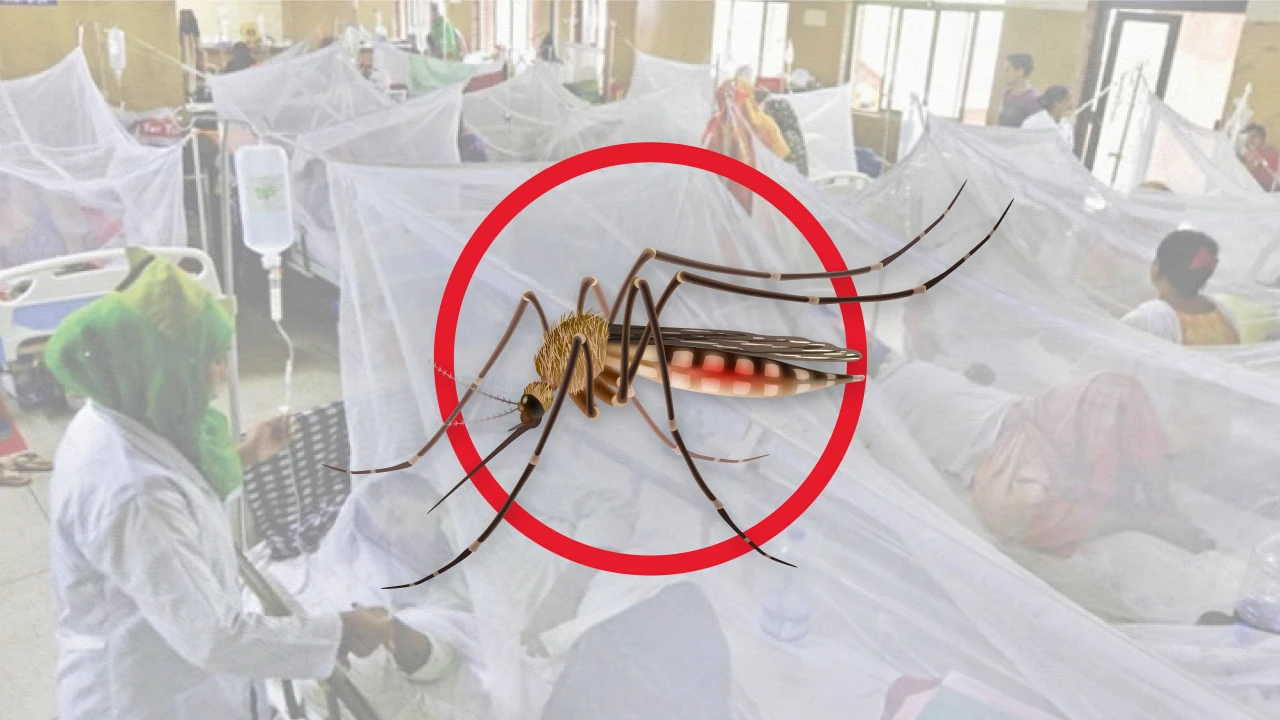 ডেঙ্গুতে আরও ৩ জনের মৃত্যু, হাসপাতালে ৯২৮