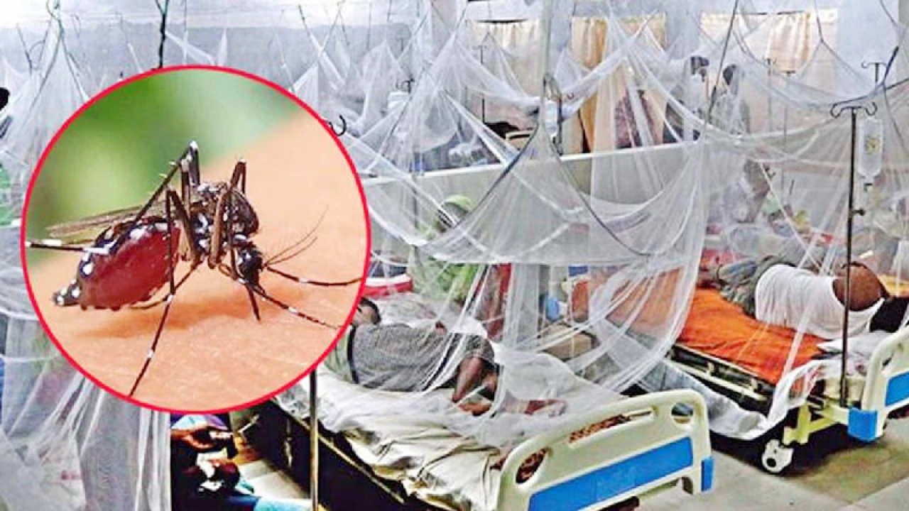 ডেঙ্গুতে একদিনে আরও ৫ জনের মৃত্যু, হাসপাতালে নতুন রোগী ১১৪৭ 