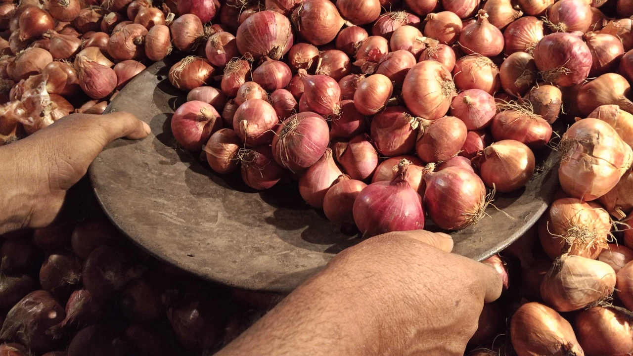 পেঁয়াজের বাজারে অস্থিরতা নিয়ন্ত্রণে নজরদারি প্রয়োজন