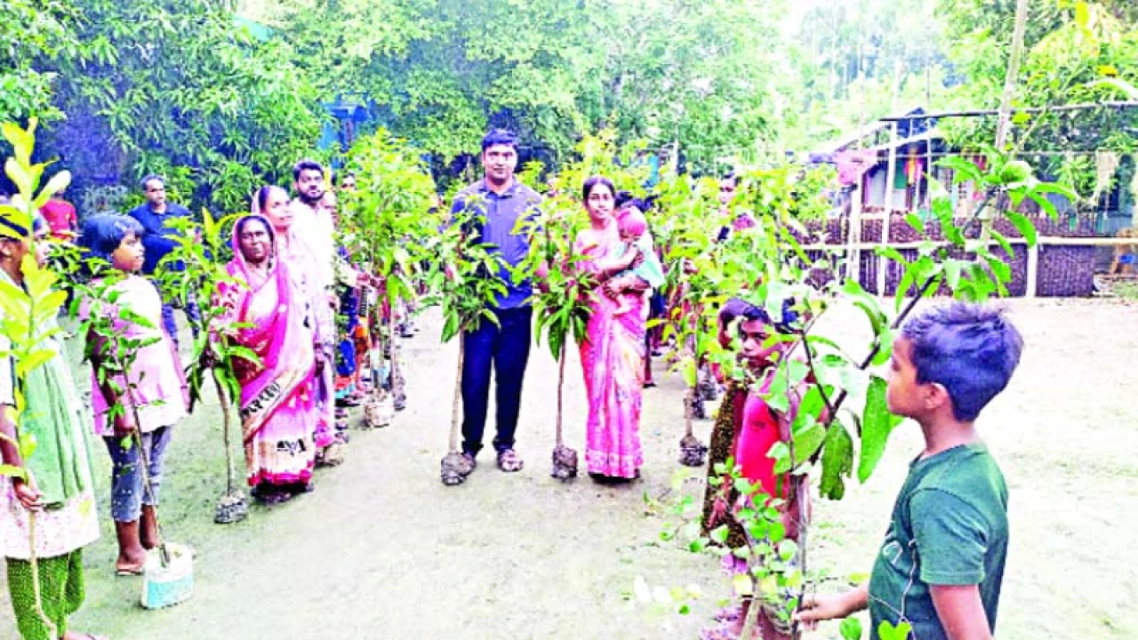 মেয়ের জন্মকে স্বাগত জানাতে চারা বিতরণ