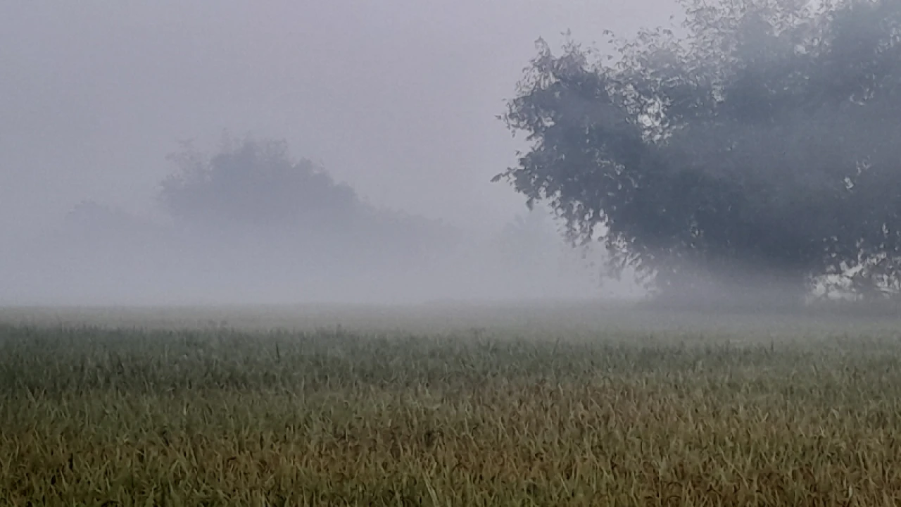 পঞ্চগড়ে জেঁকে বসেছে শীত, তাপমাত্রা ১৩ ডিগ্রির ঘরে 