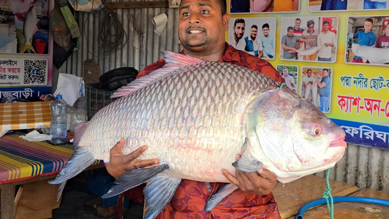 এক কাতল ৬৭ হাজারে বিক্রি!