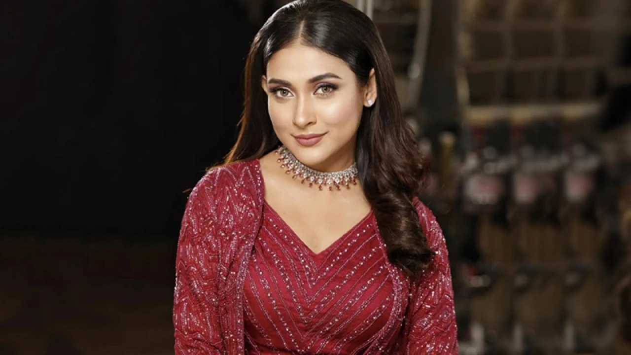 আত্মসমর্পণ করে জামিন চাইলেন মেহজাবীন