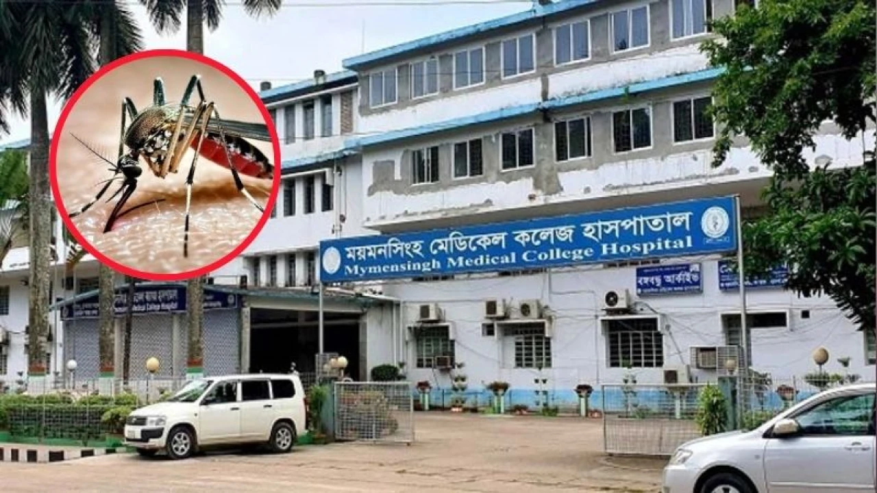 ময়মনসিংহ মেডিকেলে ডেঙ্গুতে পাঁচ দিনে ৫ জনের মৃত্যু