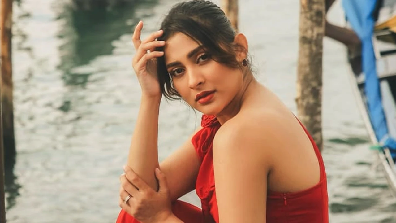 একটি কাগজপত্রও নেই: মেহজাবীন 