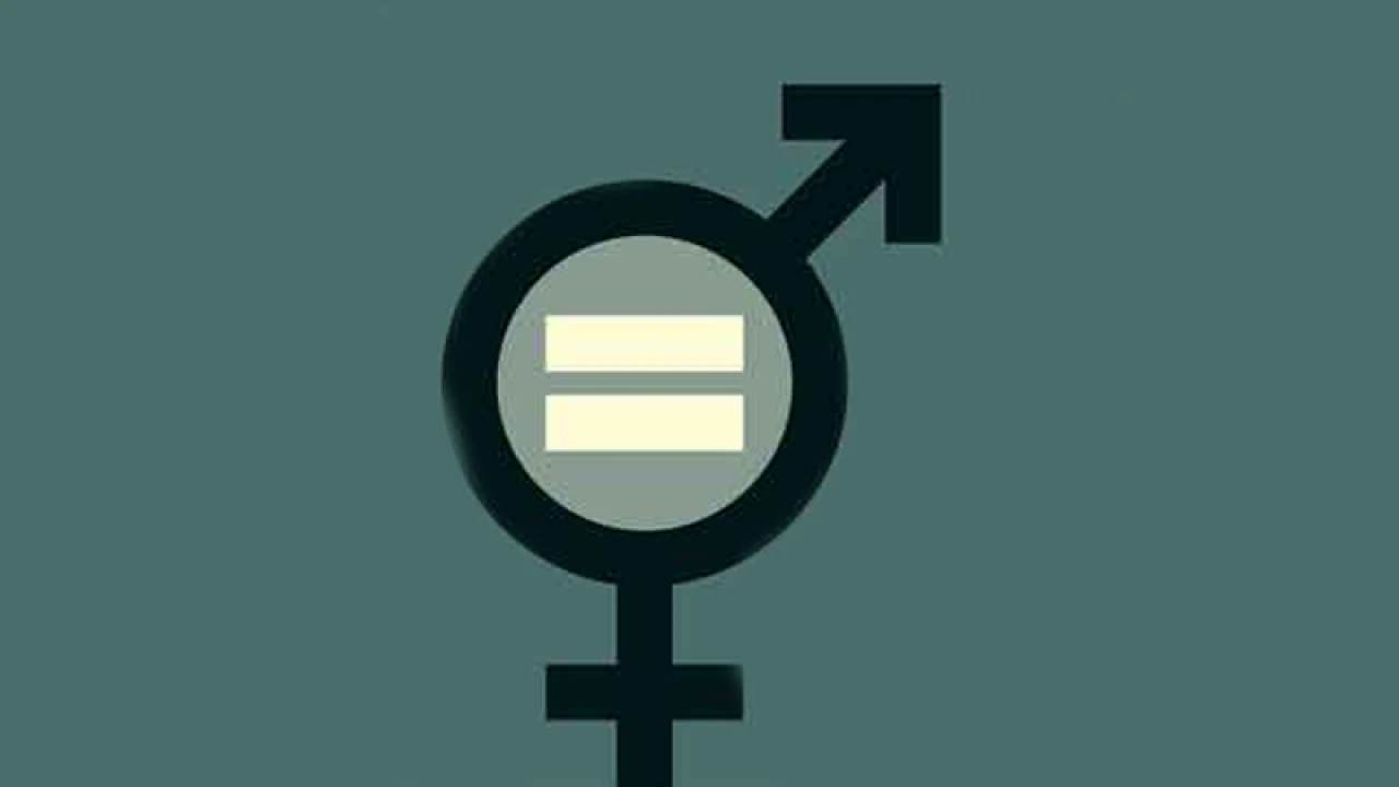 সমতার সমাজ কত দূর