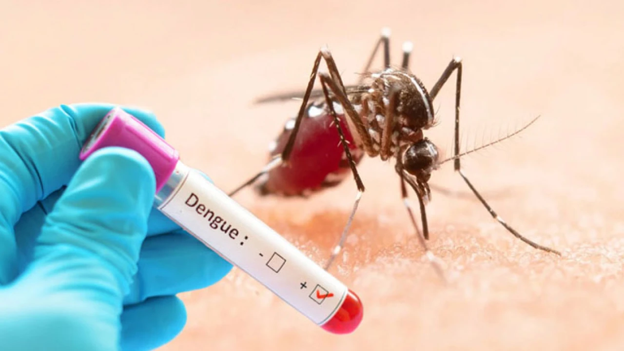 ডেঙ্গু আতঙ্ক ও জনসচেতনতা