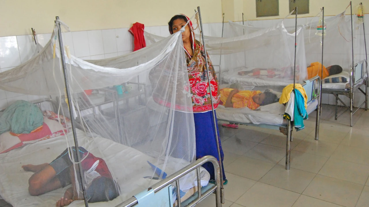 ডেঙ্গুতে আরও ৬ জনের মৃত্যু