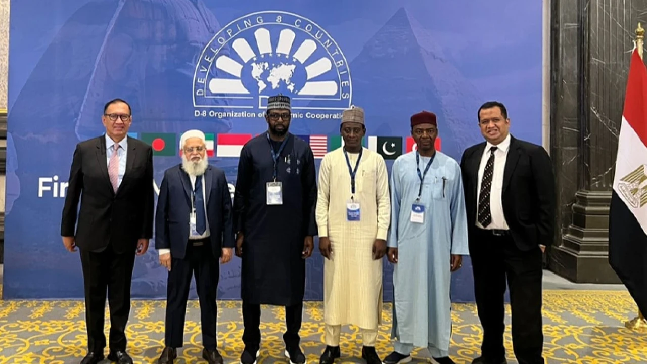 মিশরে প্রথম ডি-৮ স্বাস্থ্য বিশেষজ্ঞ বৈঠক: অভিজ্ঞতা বিনিময়ে বাংলাদেশ অগ্রণী