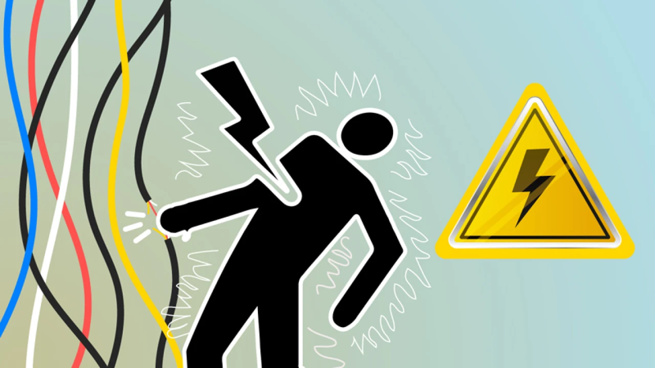 বিদ্যুৎস্পৃষ্ট বড় ভাইকে বাঁচাতে গিয়ে ছোট ভাইসহ ২ জনের মৃত্যু