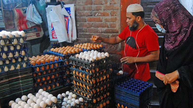 সপ্তাহ ব্যবধানে রাজধানীর বাজারগুলোতে ডিম, সব ধরনের সবজি ও ব্রয়লার মুরগির দাম বেড়েছে।  ছবিটি রাজধানীর পলাশী বাজার থেকে তোলা। ফোকাস বাংলা