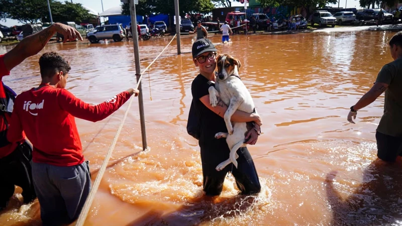 বন্যায় প্রায় ১২০,০০০ মানুষ বাস্তুচ্যুত হয়েছে।