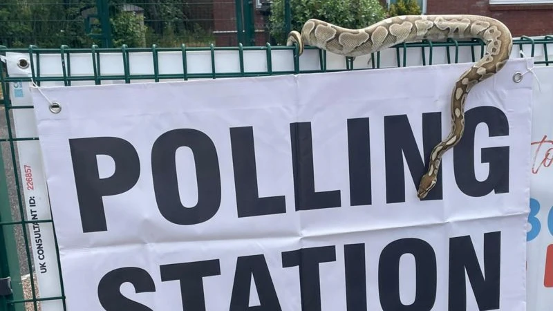 ভোটকেন্দ্রে দেখা গেল সাপ