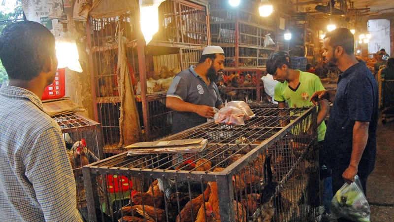 সপ্তাহ ব্যবধানে রাজধানীর বাজারগুলোতে ডিম, সব ধরনের সবজি ও ব্রয়লার মুরগির দাম বেড়েছে।  ছবিটি রাজধানীর পলাশী বাজার থেকে তোলা। ফোকাস বাংলা