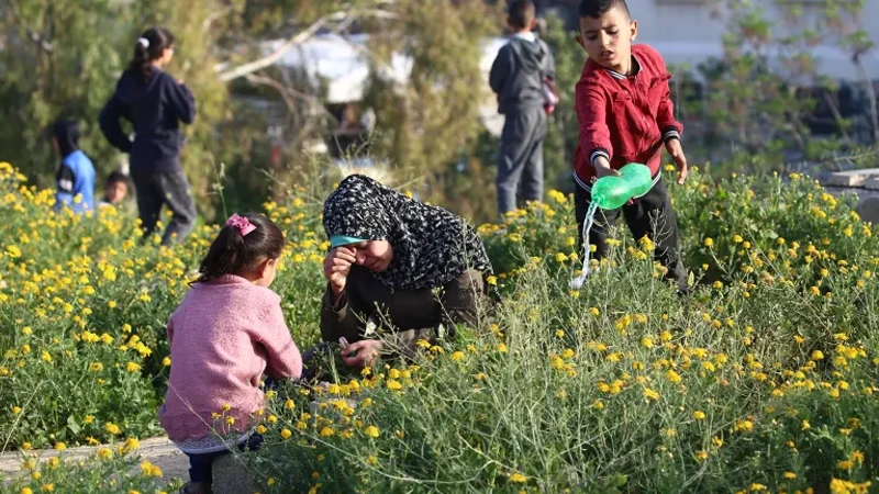 ঈদের স্বজনদের কবরস্থানে ভিড় করেছেন গাজাবাসীরা