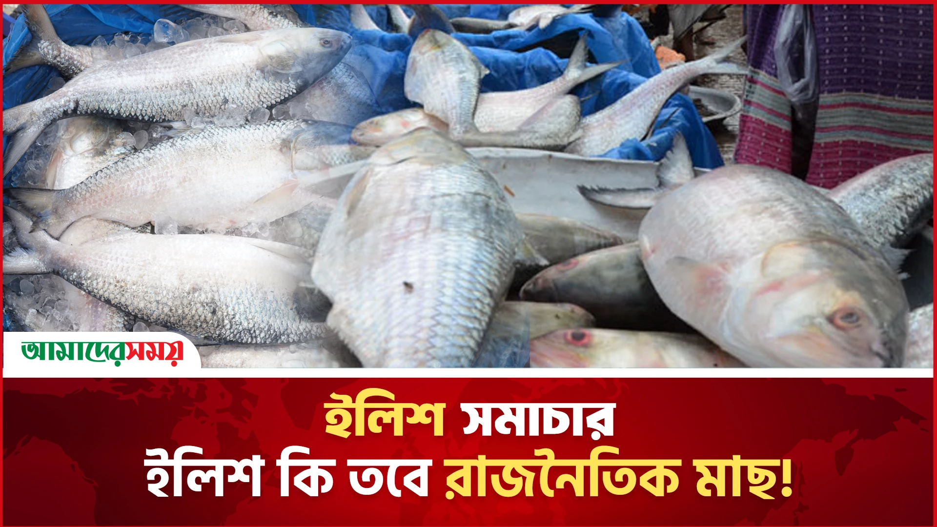 ভারতে যাচ্ছে ইলিশ, যা বলছেন ক্রেতা-বিক্রেতারা
