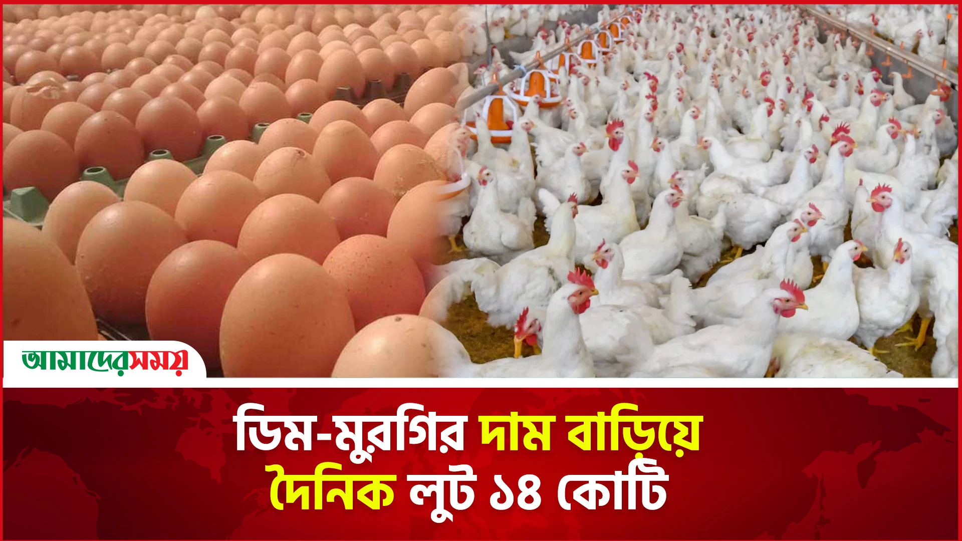 ডিম- মুরগির দাম বাড়িয়ে দৈনিক লুট ১৪ কোটি