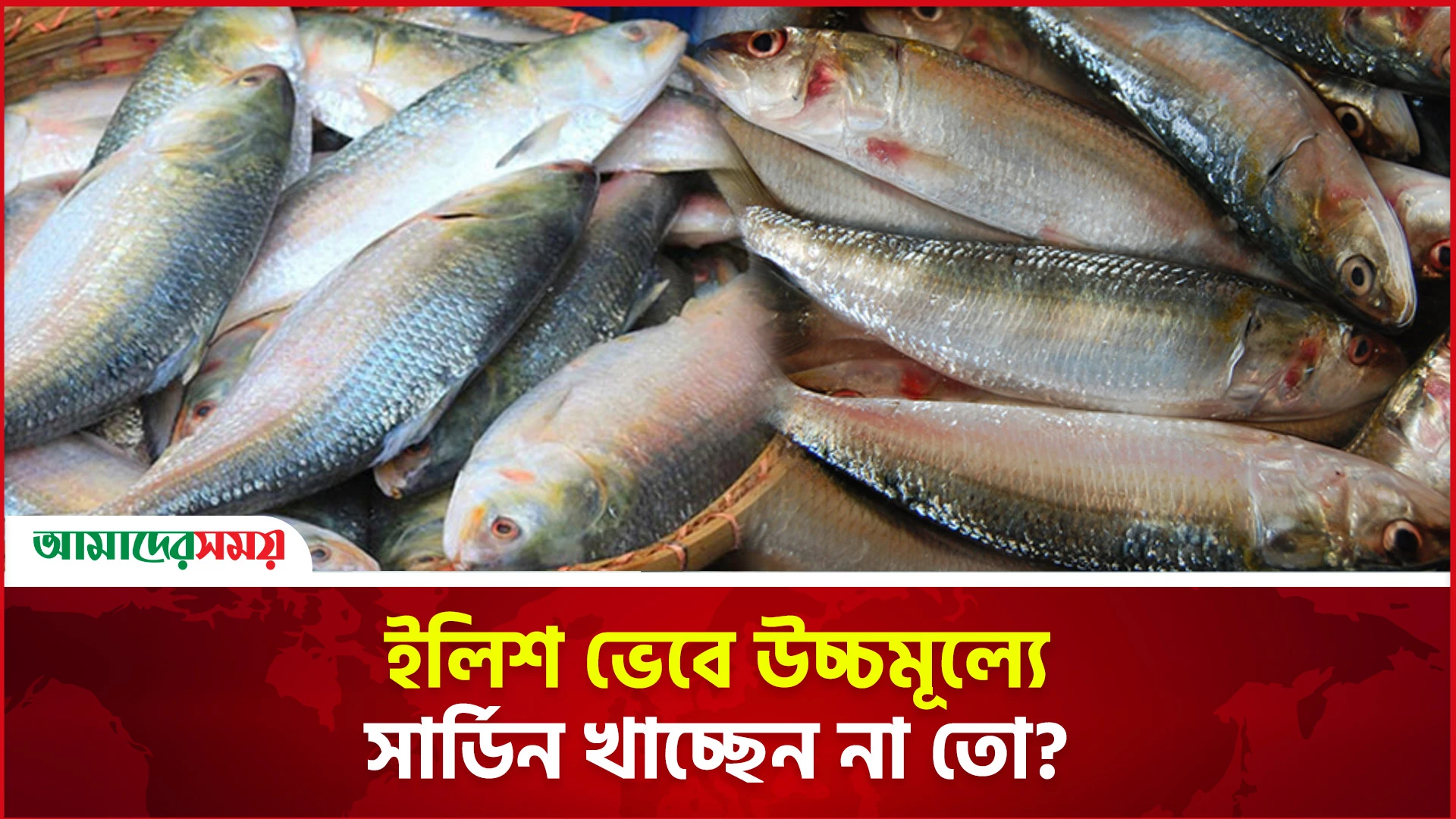 ইলিশ ভেবে উচ্চমূল্যে সার্ডিন খাচ্ছেন না তো?
