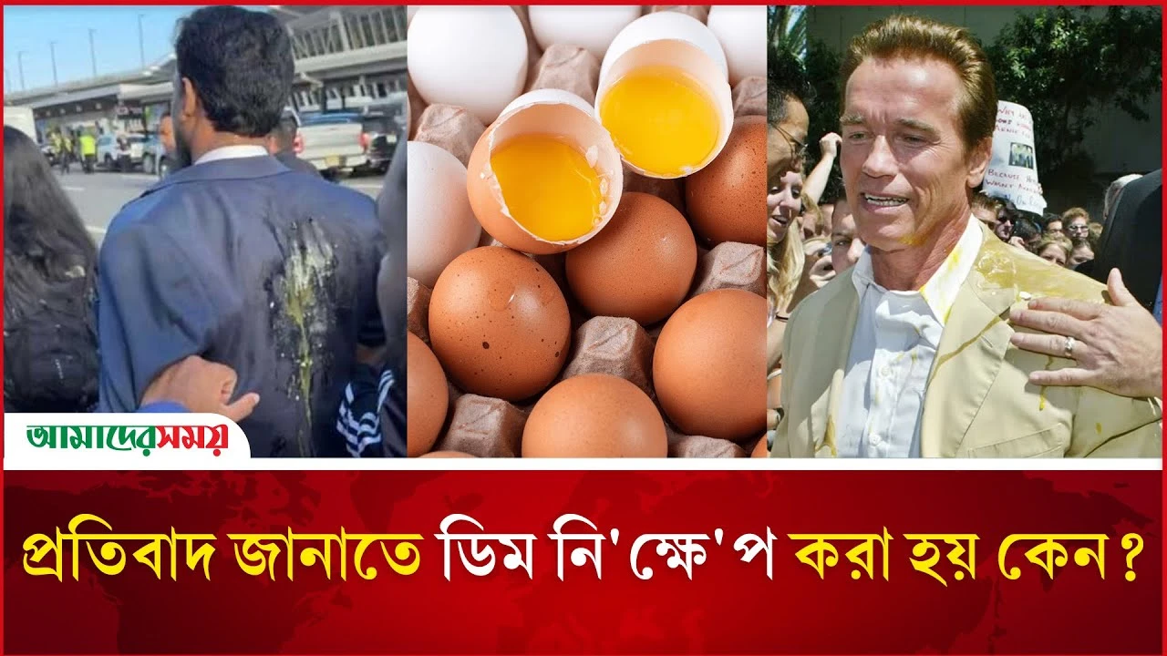 প্রতিবাদ জানাতে ডিম নি'ক্ষে'প করা হয় কেন?