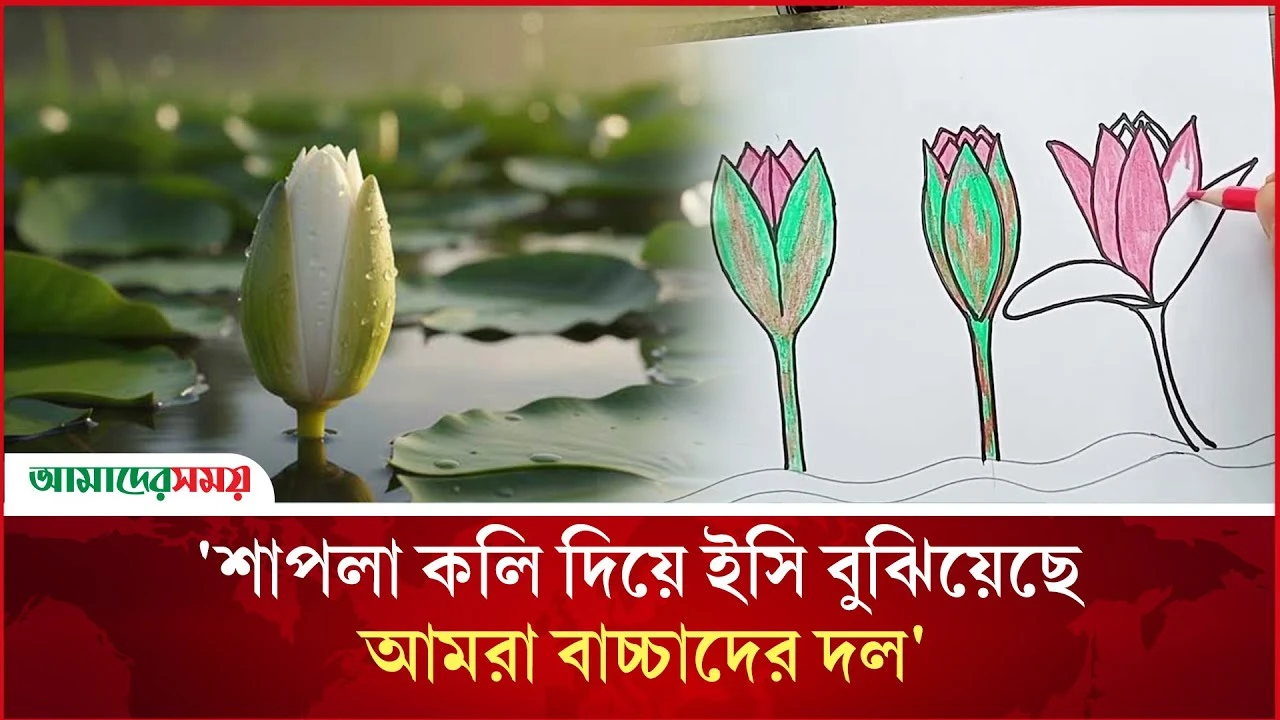 কলি নয়, ফুল চায় এনসিপি 