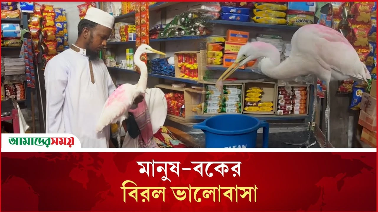  ভালোবাসার টানে হেমায়েতের কাছেই ফিরে এল সেই বক